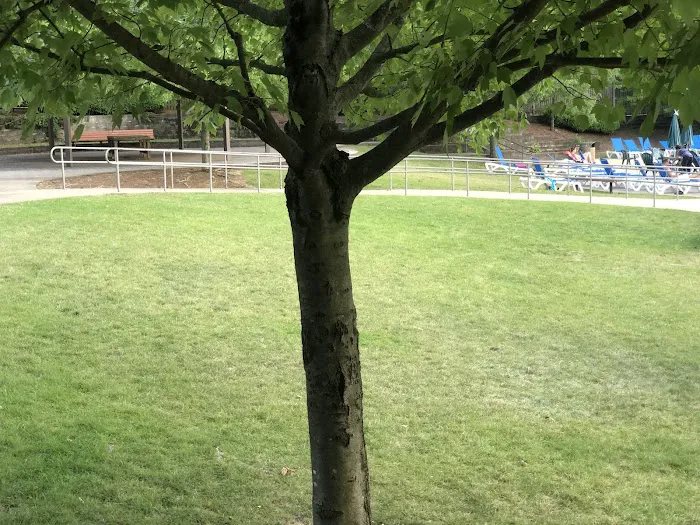 Gero Park Picture 8