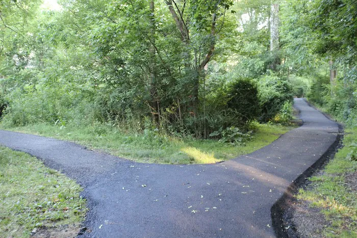Milton Woods Path Picture 10