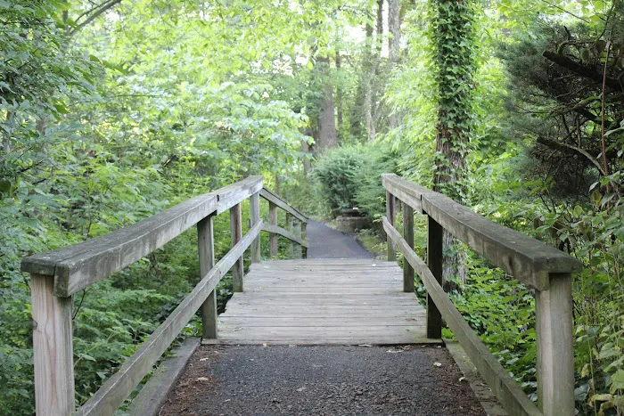 Milton Woods Path Picture 8