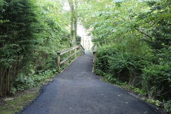 Milton Woods Path Picture 4