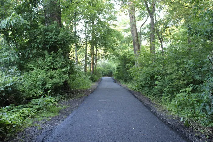 Milton Woods Path Picture 3
