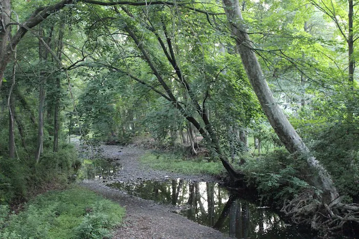 Manor Woods Creek Picture 8