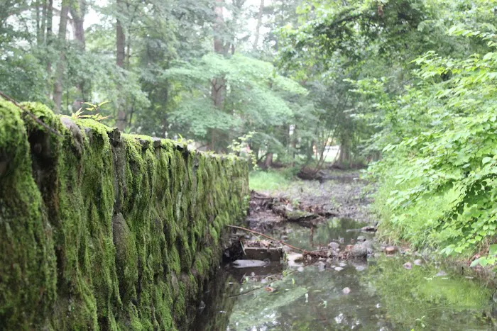 Manor Woods Creek Picture 2