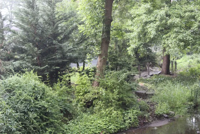 Manor Woods Creek Picture 7