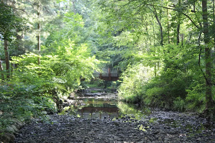 Manor Woods Creek Picture 9