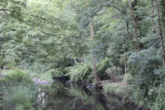 Manor Woods Creek Picture 5