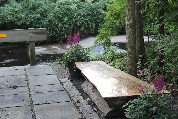 Manor Woods Creek Picture 4