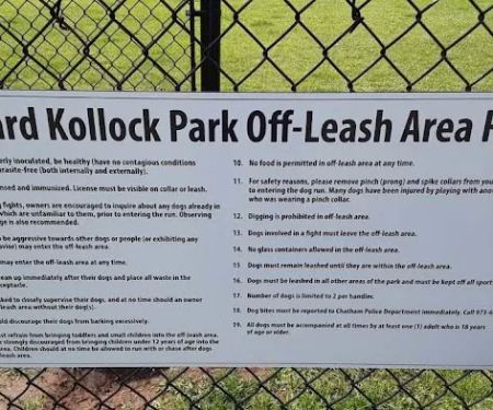 Off-Leash Dog Park (Shepard Kollock)