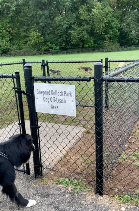Off-Leash Dog Park (Shepard Kollock) Picture 2