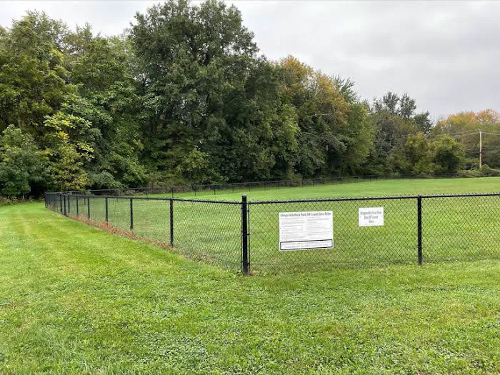 Off-Leash Dog Park (Shepard Kollock) Picture 5