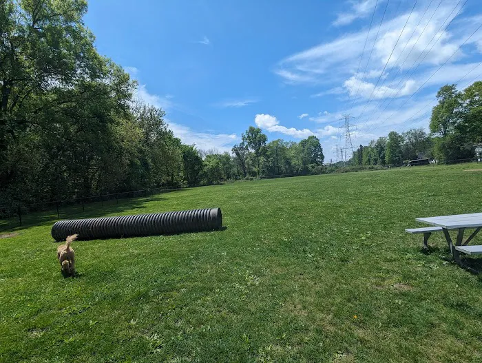 Off-Leash Dog Park (Shepard Kollock) Picture 8