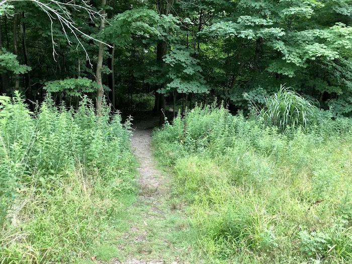 Orange Green Trail Access Picture 10