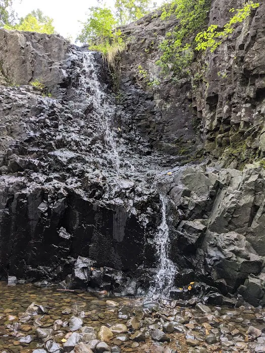 Tulip Springs Picture 2