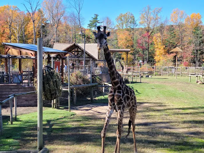 South Mountain Reservation Picture 1