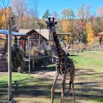 South Mountain Reservation