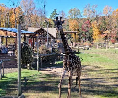 South Mountain Reservation