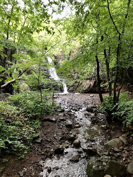 Hemlock Falls Picture 3