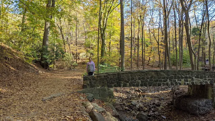 Hemlock Falls Picture 9