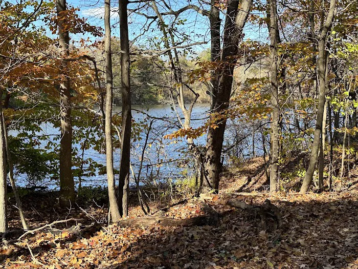 Speedwell Park-Pocahontas L Picture 3