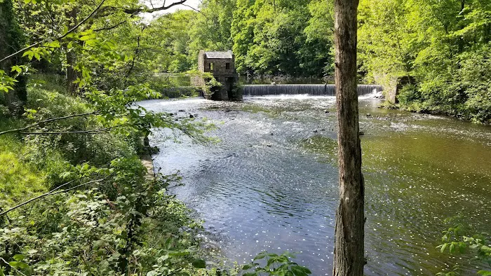 Speedwell Lake Park Picture 9