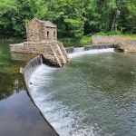 Speedwell Lake Park
