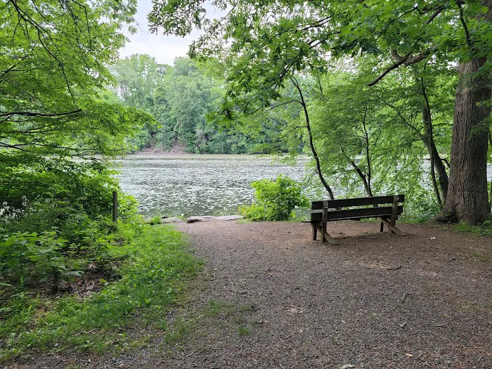 Speedwell Lake Park Picture 10