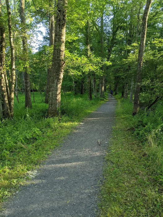 Speedwell Lake Park Picture 7