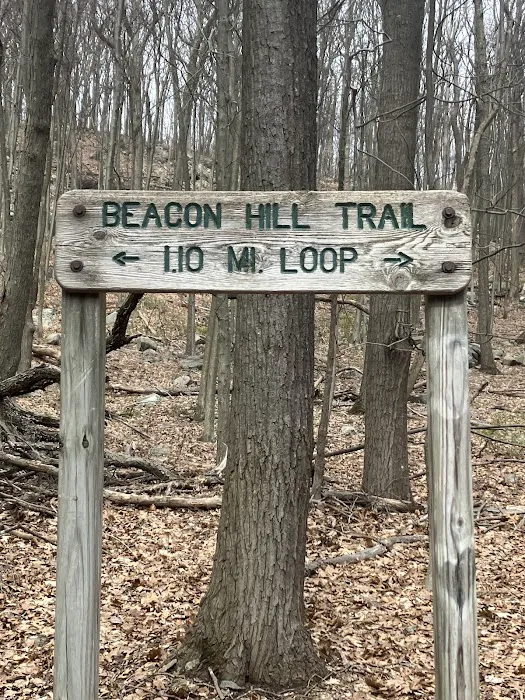 Beacon Hill Trail Picture 10