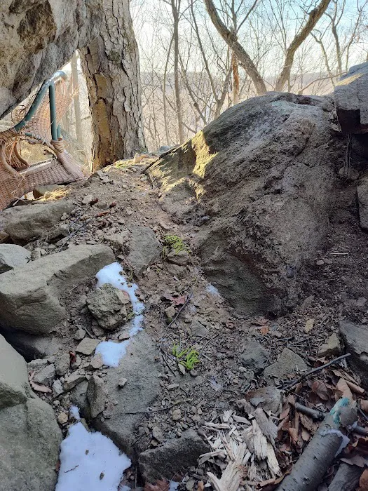 Beacon Hill Trail Picture 8