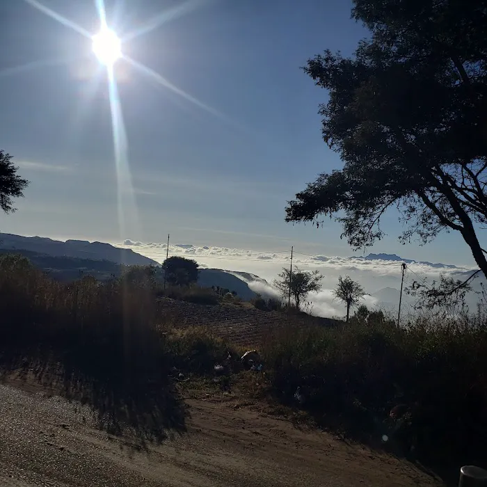 Beacon Hill Trail Picture 4
