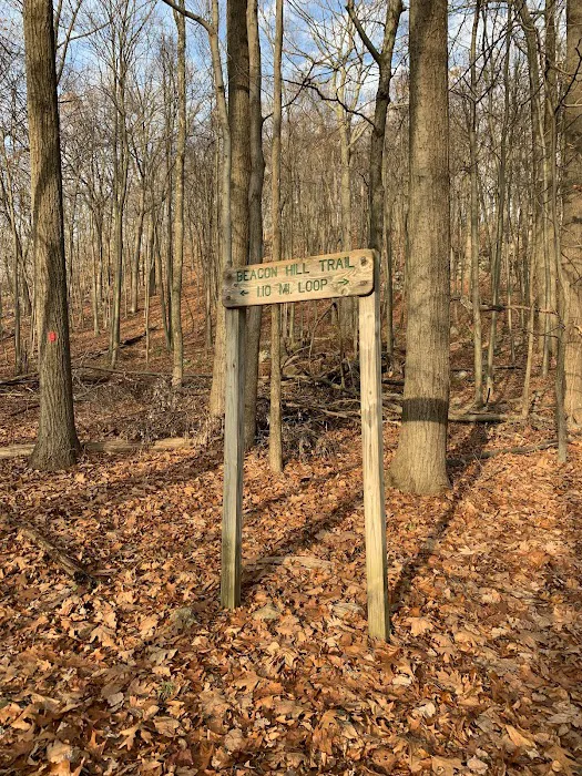Beacon Hill Trail Picture 9