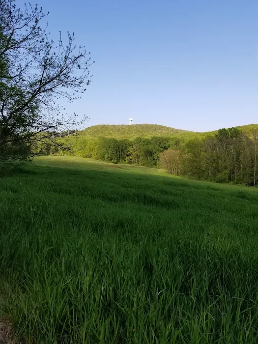 Mountain Way Picture 9
