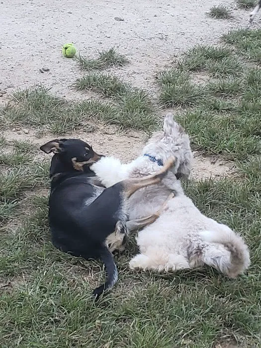 Central Park County Dog Park Picture 6