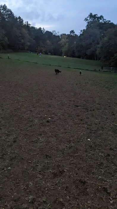 Central Park County Dog Park Picture 5