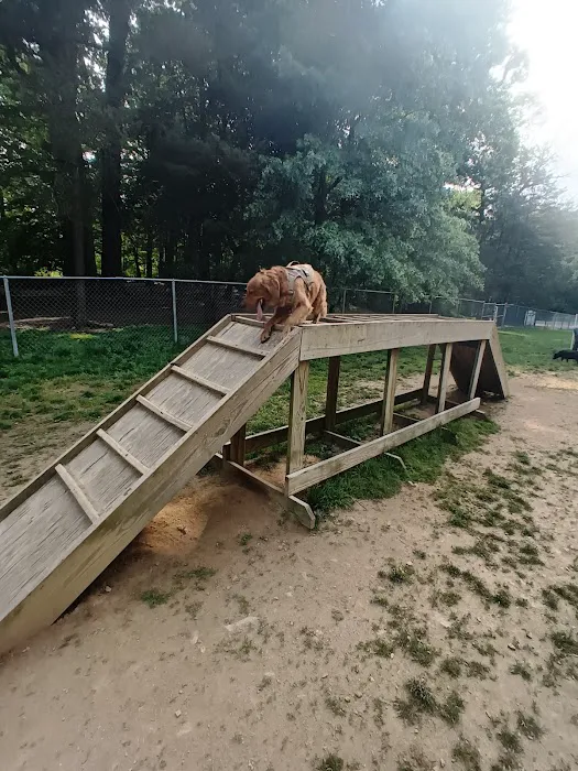 Central Park County Dog Park Picture 10