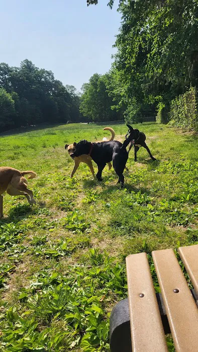 Central Park County Dog Park Picture 8