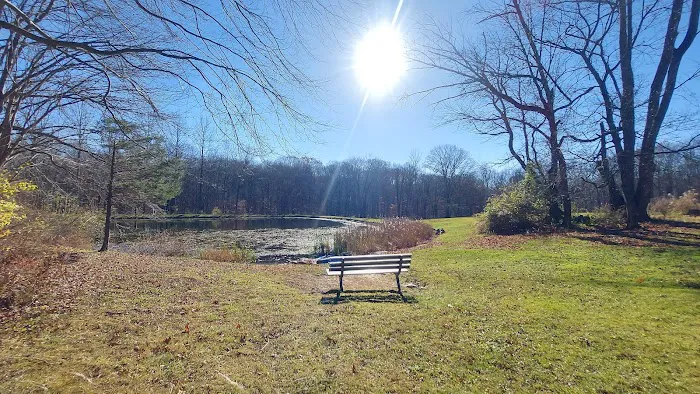 Station Park Picture 6