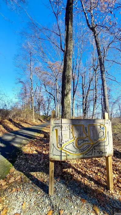 Station Park Picture 5