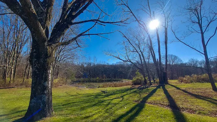 Station Park Picture 2