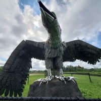 Hawk Hill ico