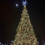 JFK park