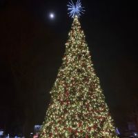 JFK park ico