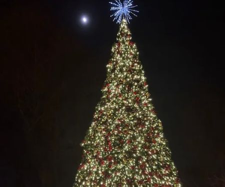 JFK park