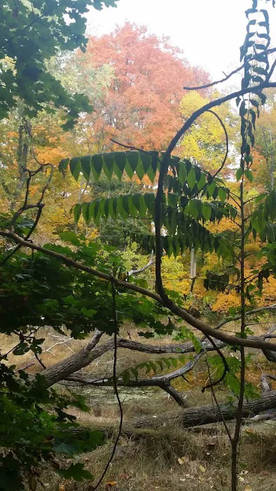 Zuck Arboretum Picture 4