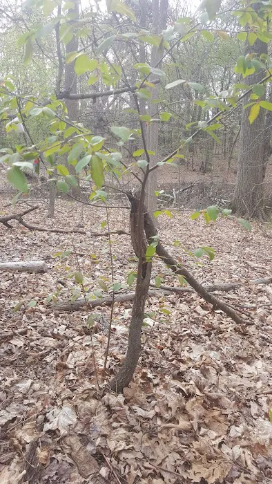 Zuck Arboretum Picture 10