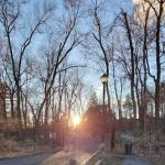 Zuck Arboretum