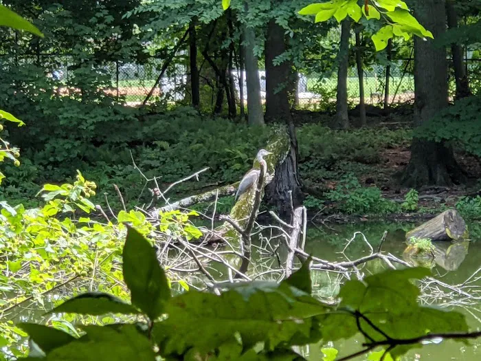 Zuck Arboretum Picture 2