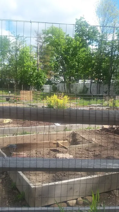 Grow It Green's Early Street Community Garden Picture 10
