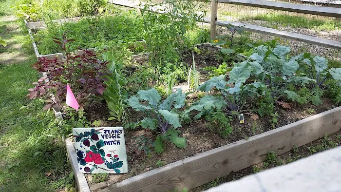 Grow It Green's Early Street Community Garden Picture 8