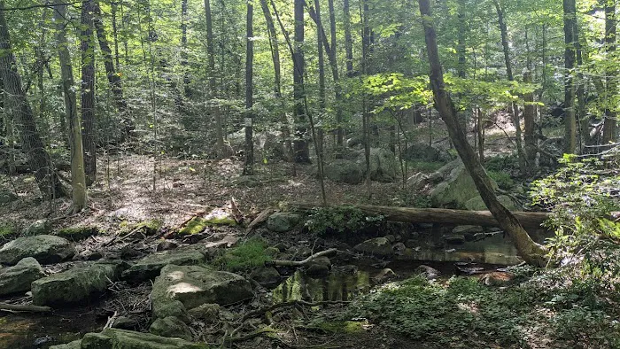 Torne Mtn/Osio Rock Picture 6